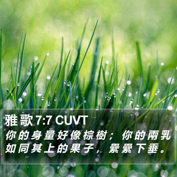 雅 歌 7:7 CUVT Bible Study