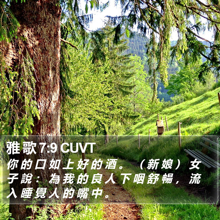 雅 歌 7:9 CUVT Bible Study
