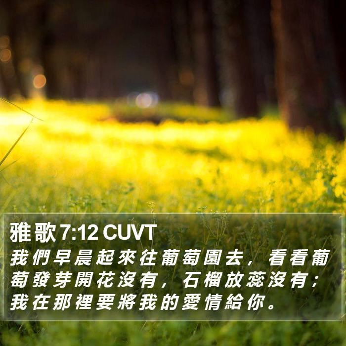 雅 歌 7:12 CUVT Bible Study