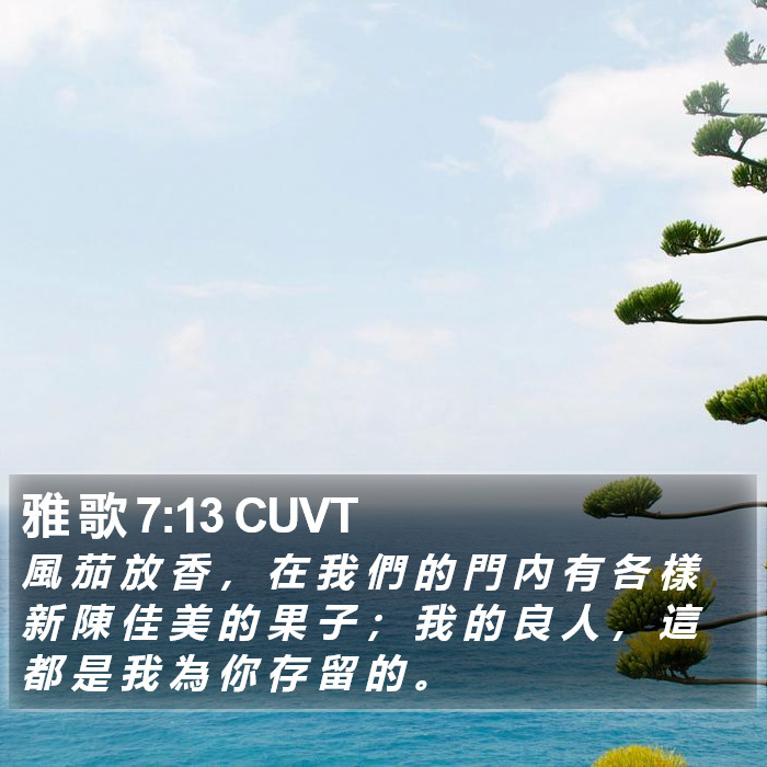 雅 歌 7:13 CUVT Bible Study