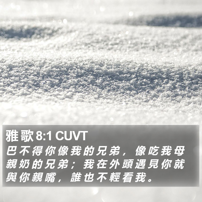 雅 歌 8:1 CUVT Bible Study