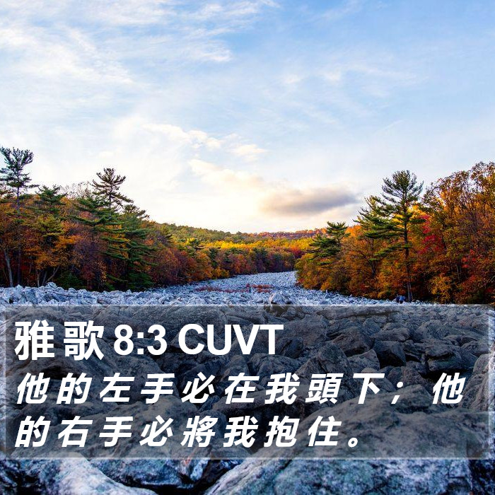 雅 歌 8:3 CUVT Bible Study