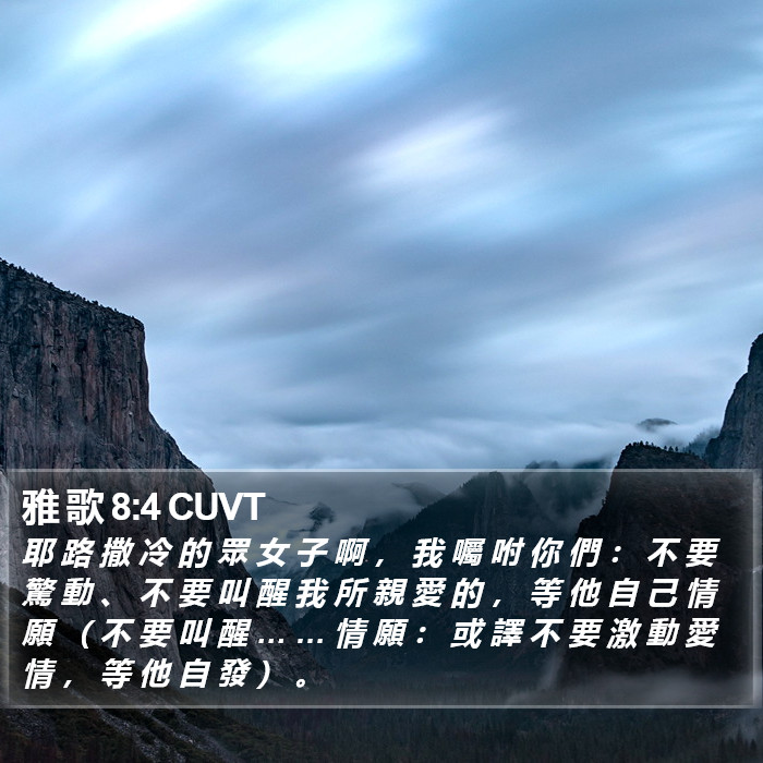 雅 歌 8:4 CUVT Bible Study