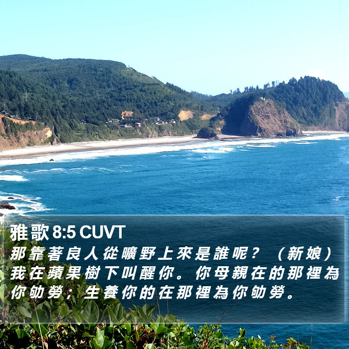 雅 歌 8:5 CUVT Bible Study