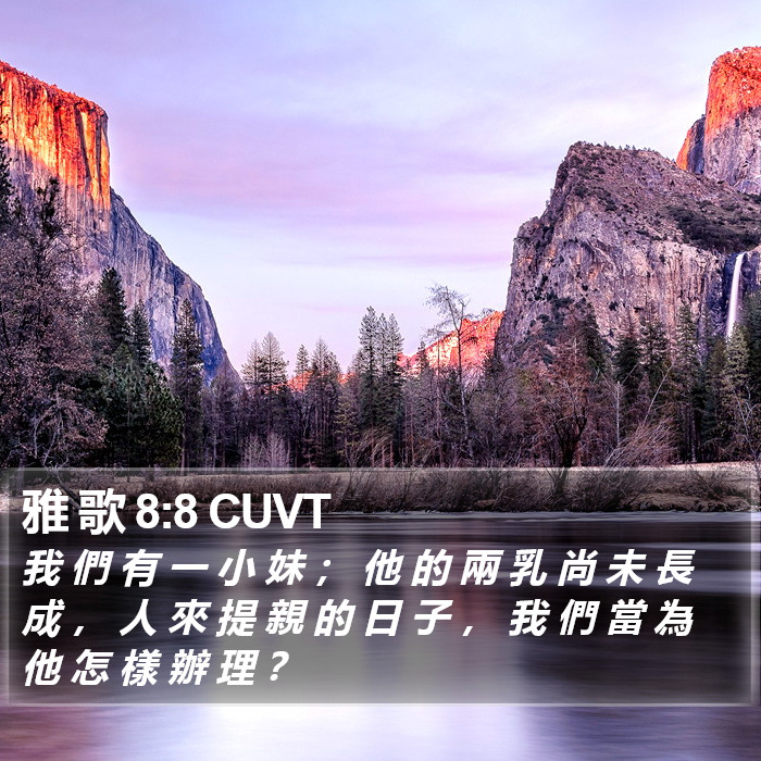 雅 歌 8:8 CUVT Bible Study