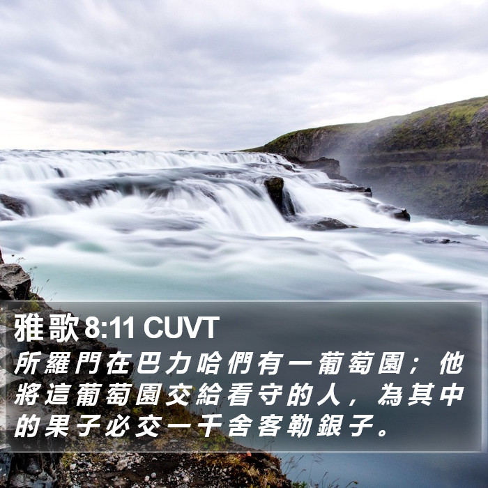 雅 歌 8:11 CUVT Bible Study