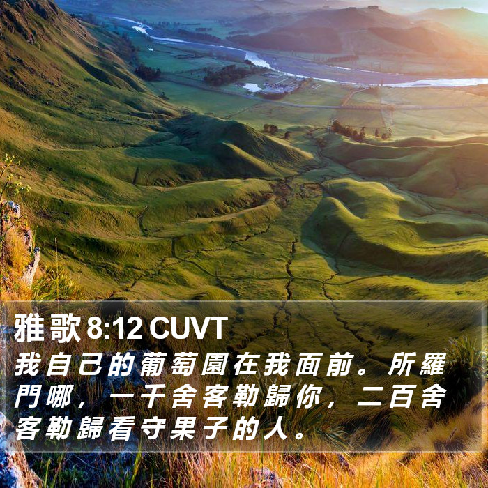 雅 歌 8:12 CUVT Bible Study