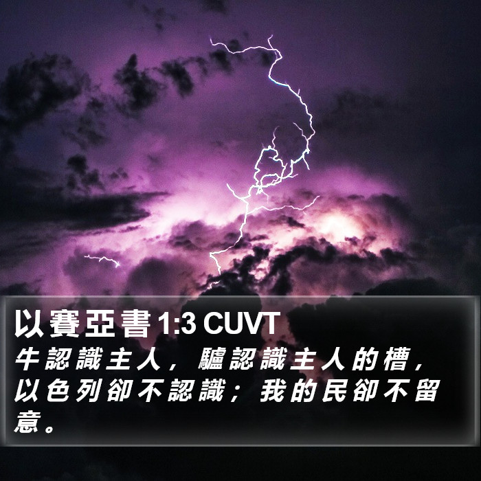 以 賽 亞 書 1:3 CUVT Bible Study