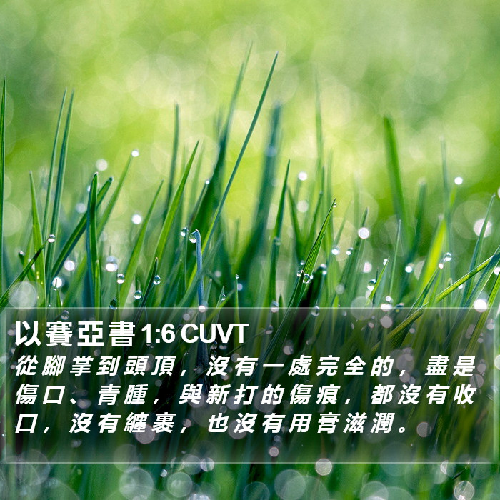 以 賽 亞 書 1:6 CUVT Bible Study