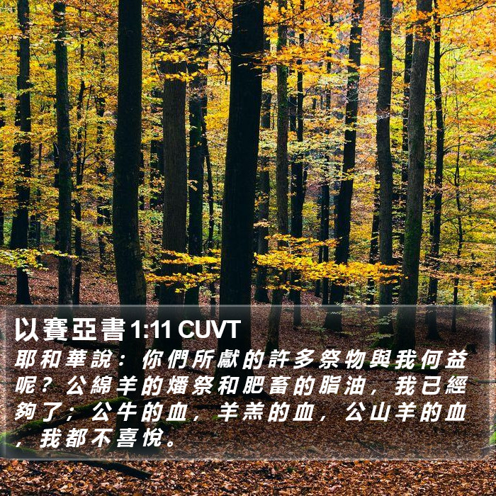 以 賽 亞 書 1:11 CUVT Bible Study