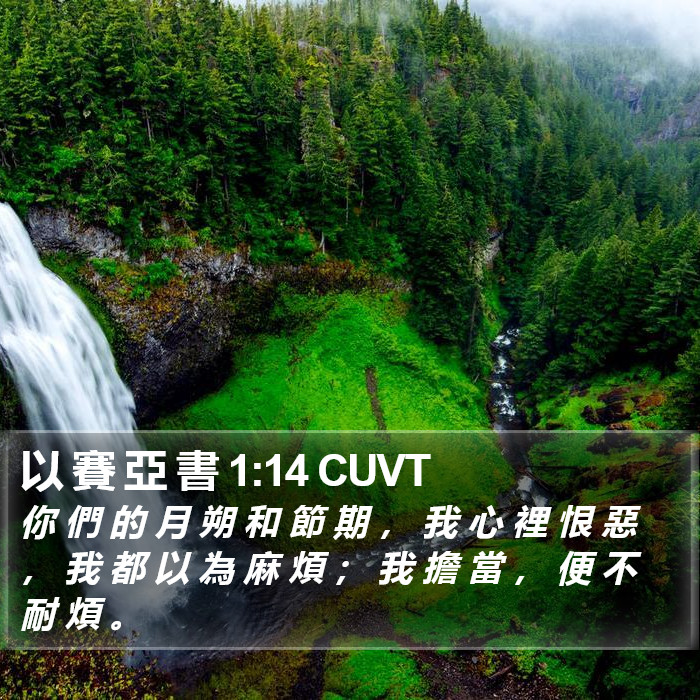 以 賽 亞 書 1:14 CUVT Bible Study