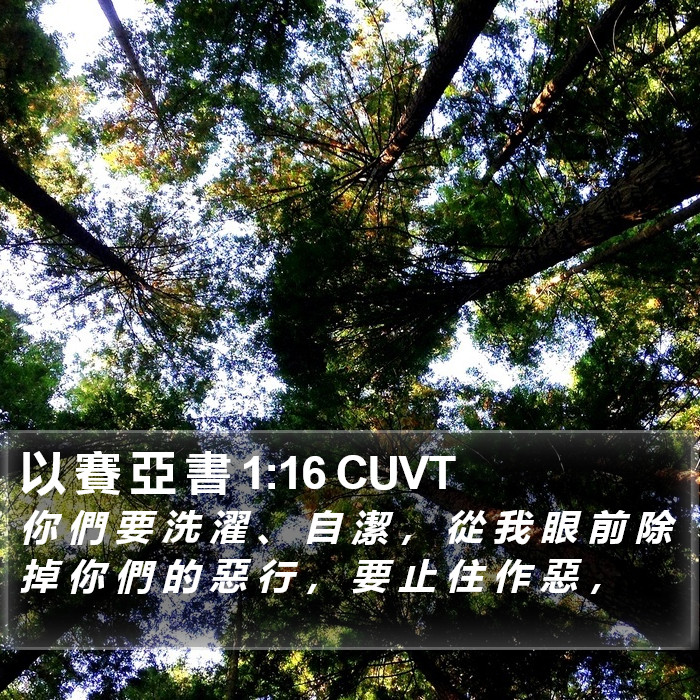 以 賽 亞 書 1:16 CUVT Bible Study