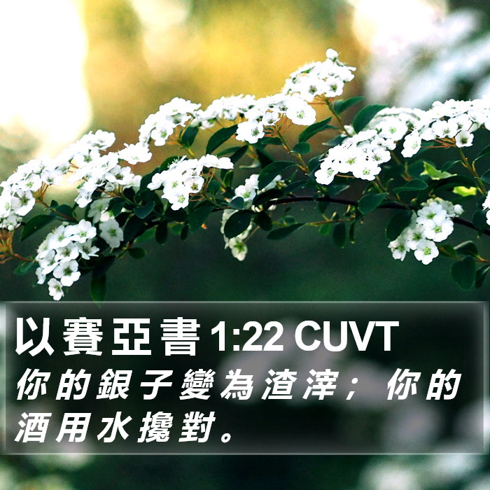 以 賽 亞 書 1:22 CUVT Bible Study