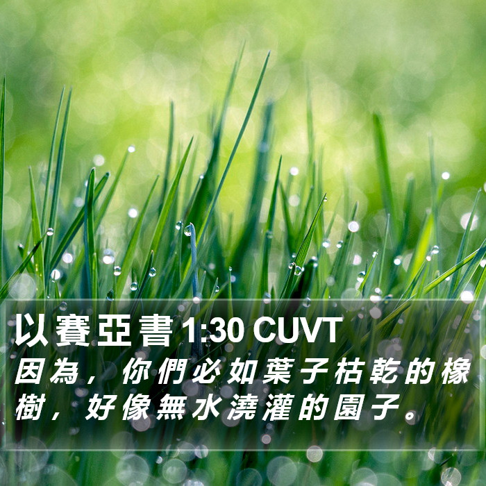 以 賽 亞 書 1:30 CUVT Bible Study