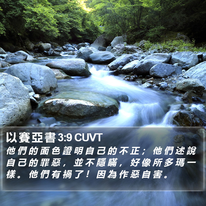 以 賽 亞 書 3:9 CUVT Bible Study