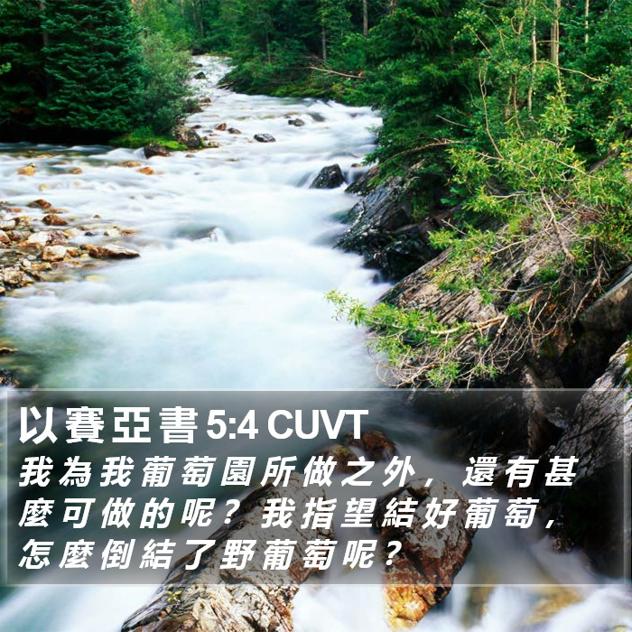 以 賽 亞 書 5:4 CUVT Bible Study