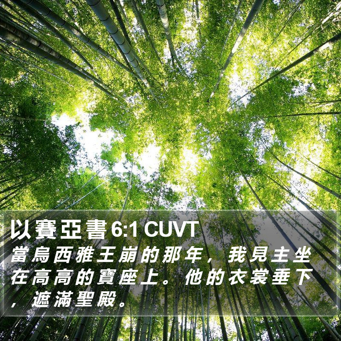 以 賽 亞 書 6:1 CUVT Bible Study