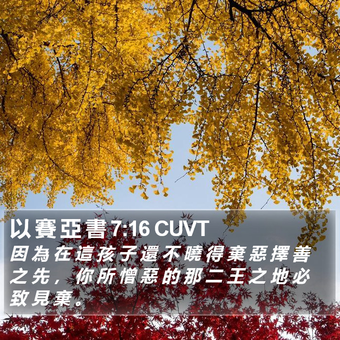 以 賽 亞 書 7:16 CUVT Bible Study