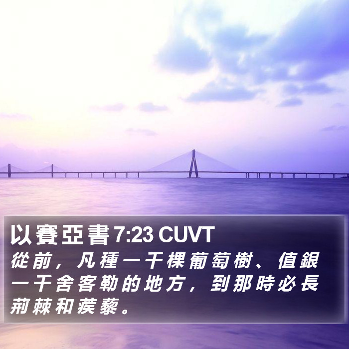 以 賽 亞 書 7:23 CUVT Bible Study