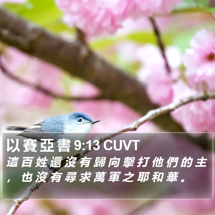 以 賽 亞 書 9:13 CUVT Bible Study