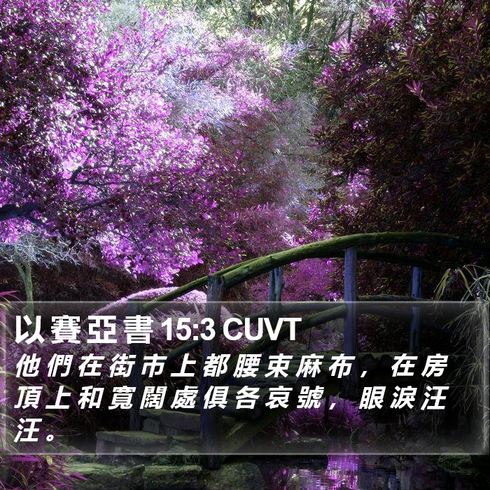 以 賽 亞 書 15:3 CUVT Bible Study