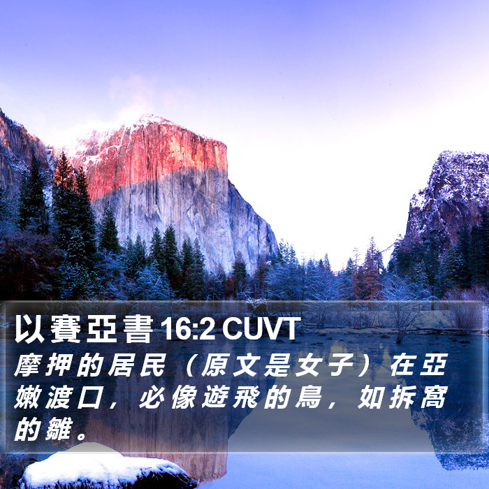 以 賽 亞 書 16:2 CUVT Bible Study