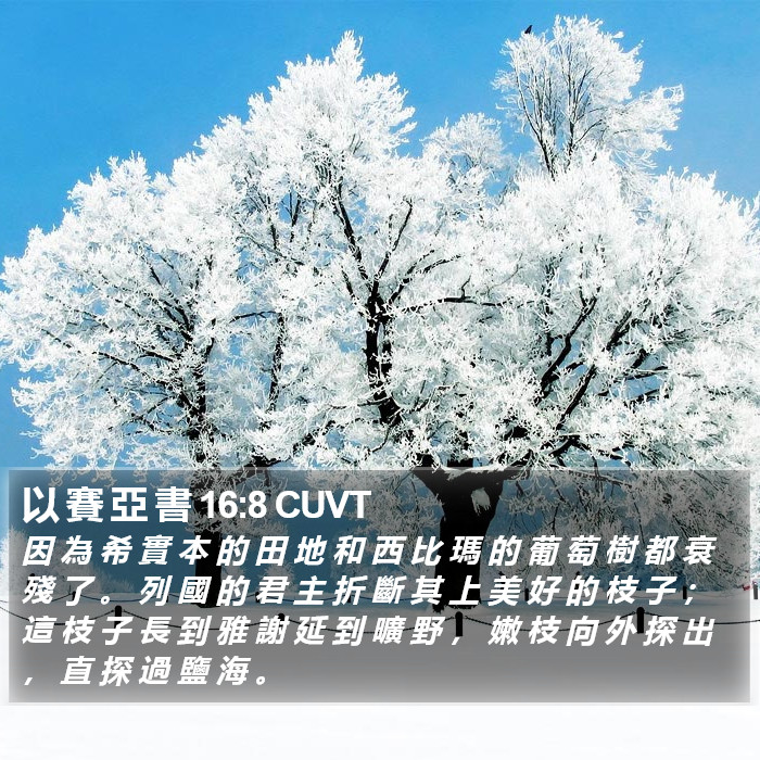 以 賽 亞 書 16:8 CUVT Bible Study