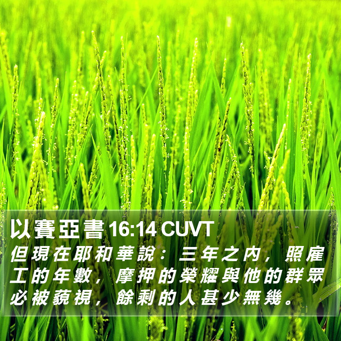 以 賽 亞 書 16:14 CUVT Bible Study