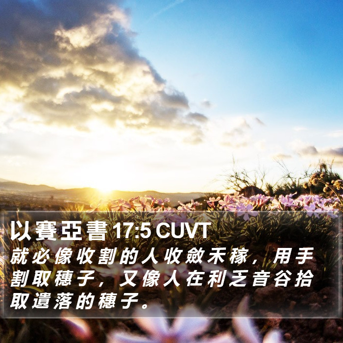 以 賽 亞 書 17:5 CUVT Bible Study