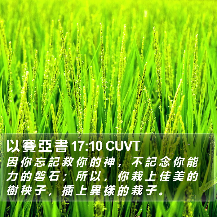 以 賽 亞 書 17:10 CUVT Bible Study