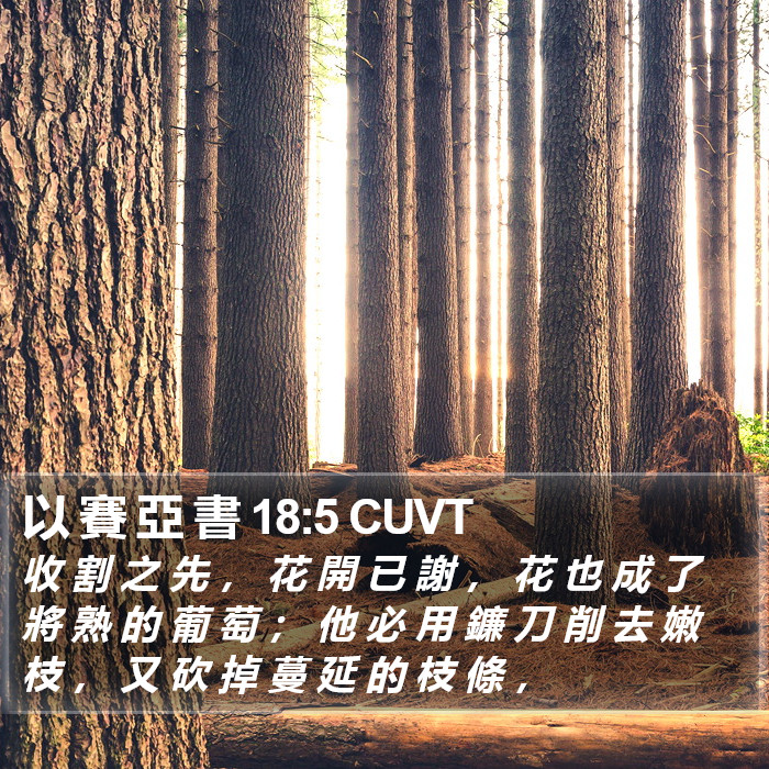 以 賽 亞 書 18:5 CUVT Bible Study