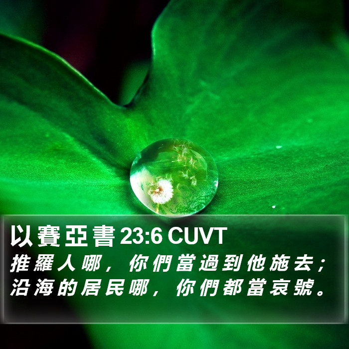 以 賽 亞 書 23:6 CUVT Bible Study