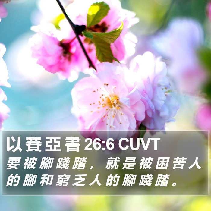 以 賽 亞 書 26:6 CUVT Bible Study