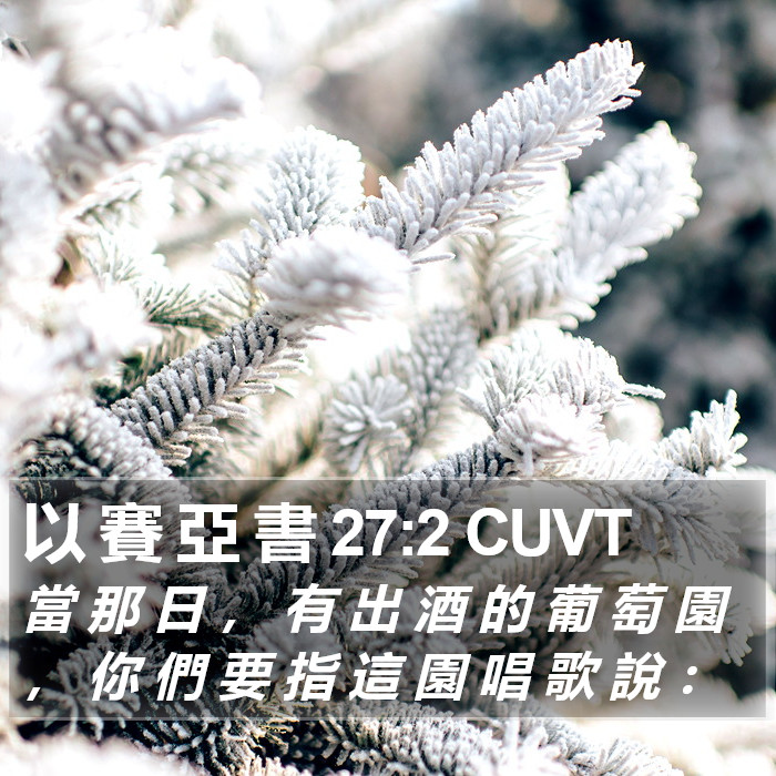 以 賽 亞 書 27:2 CUVT Bible Study
