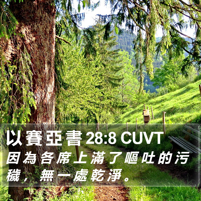 以 賽 亞 書 28:8 CUVT Bible Study