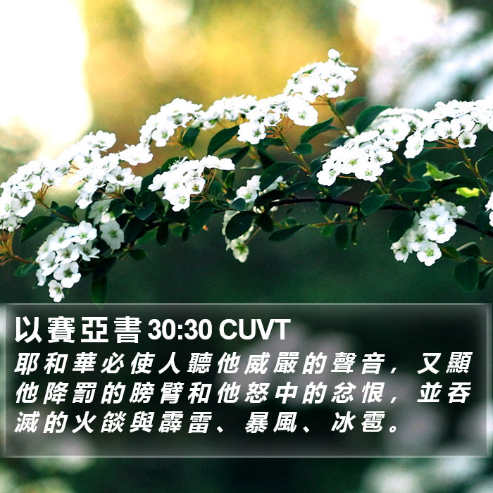 以 賽 亞 書 30:30 CUVT Bible Study