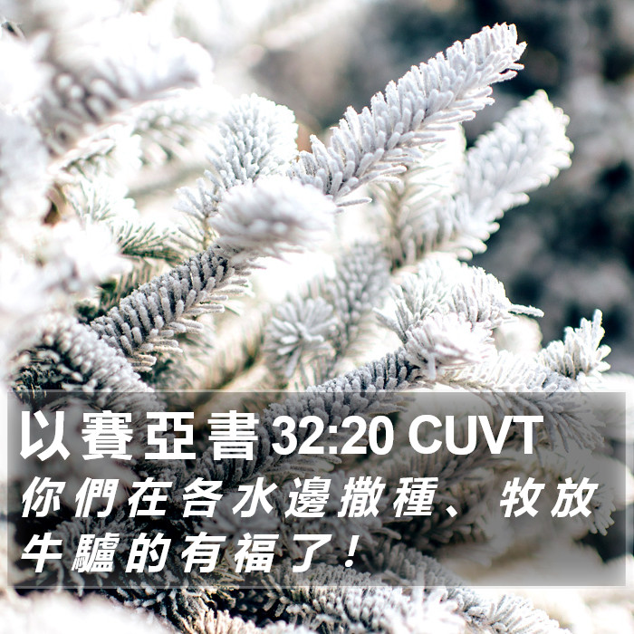 以 賽 亞 書 32:20 CUVT Bible Study