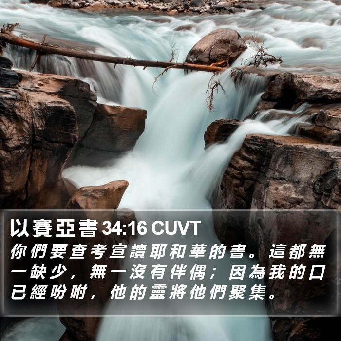 以 賽 亞 書 34:16 CUVT Bible Study