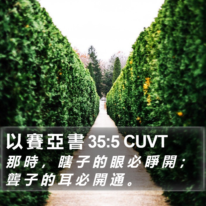 以 賽 亞 書 35:5 CUVT Bible Study