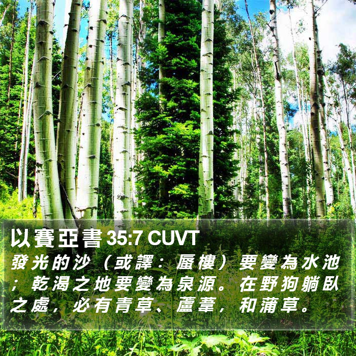 以 賽 亞 書 35:7 CUVT Bible Study