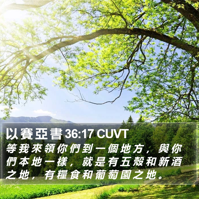 以 賽 亞 書 36:17 CUVT Bible Study