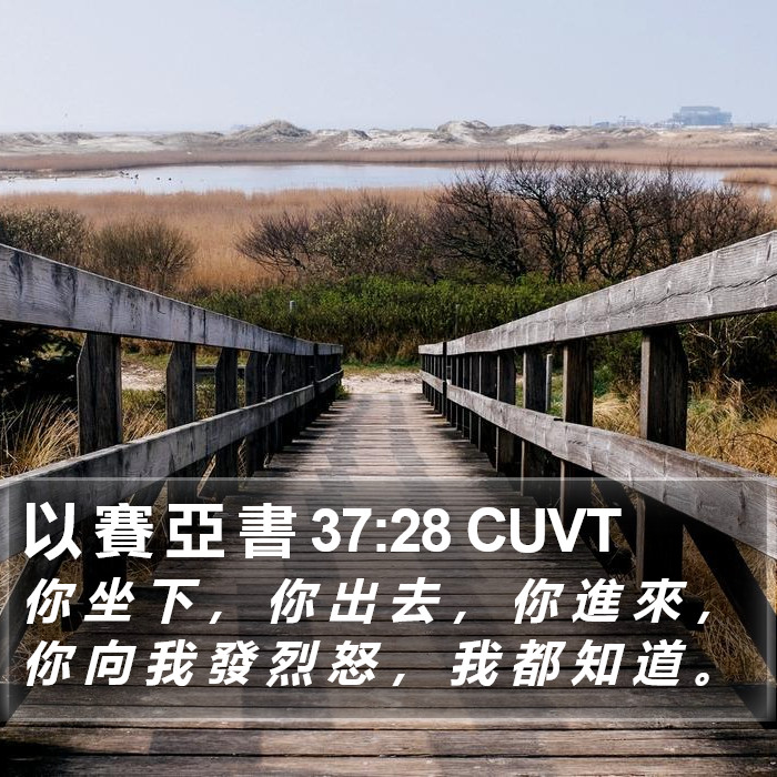 以 賽 亞 書 37:28 CUVT Bible Study
