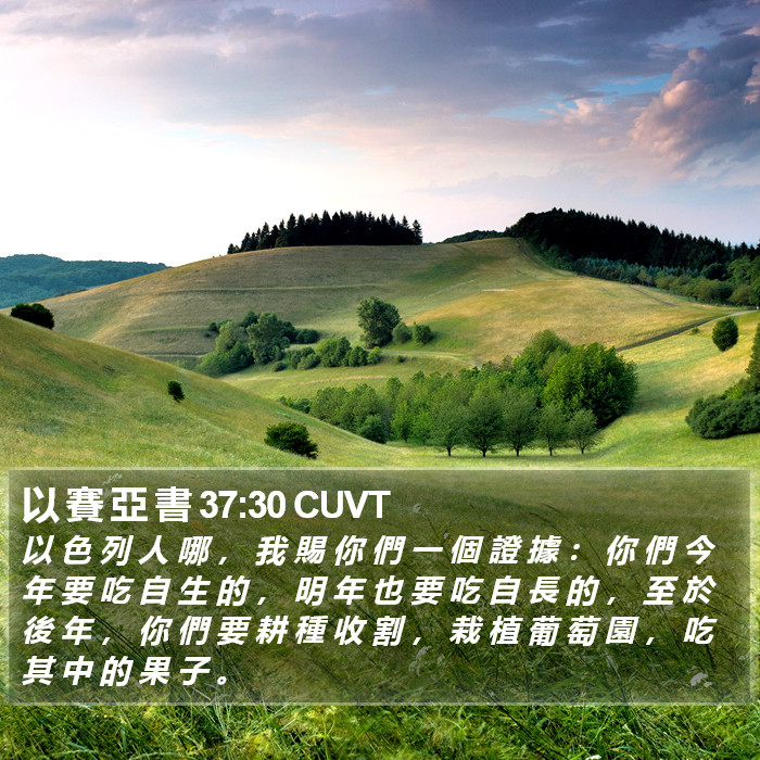 以 賽 亞 書 37:30 CUVT Bible Study