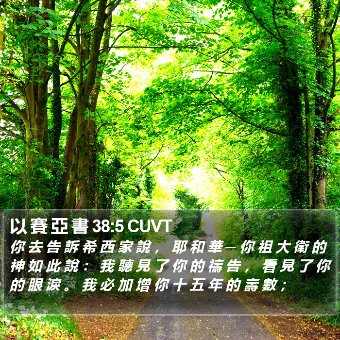 以 賽 亞 書 38:5 CUVT Bible Study