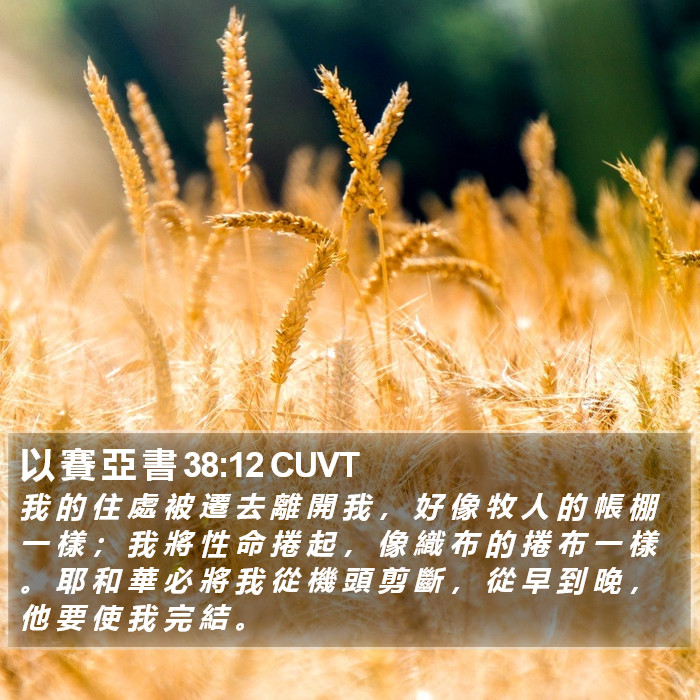 以 賽 亞 書 38:12 CUVT Bible Study