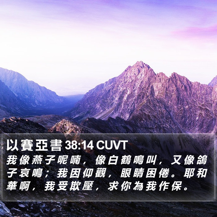 以 賽 亞 書 38:14 CUVT Bible Study