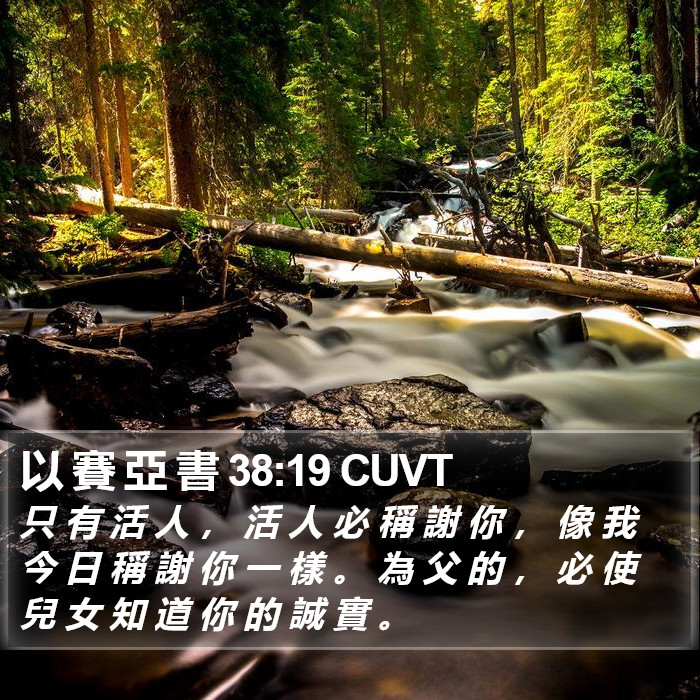 以 賽 亞 書 38:19 CUVT Bible Study