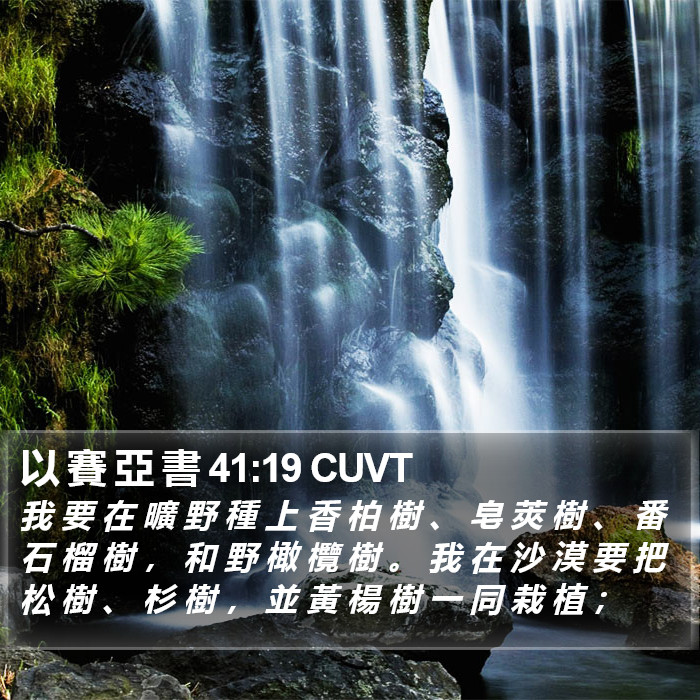 以 賽 亞 書 41:19 CUVT Bible Study