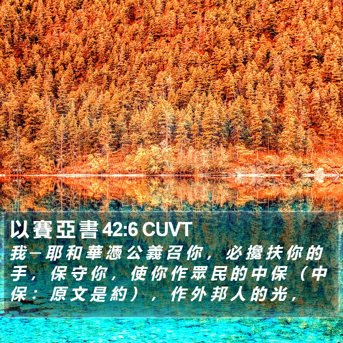 以 賽 亞 書 42:6 CUVT Bible Study