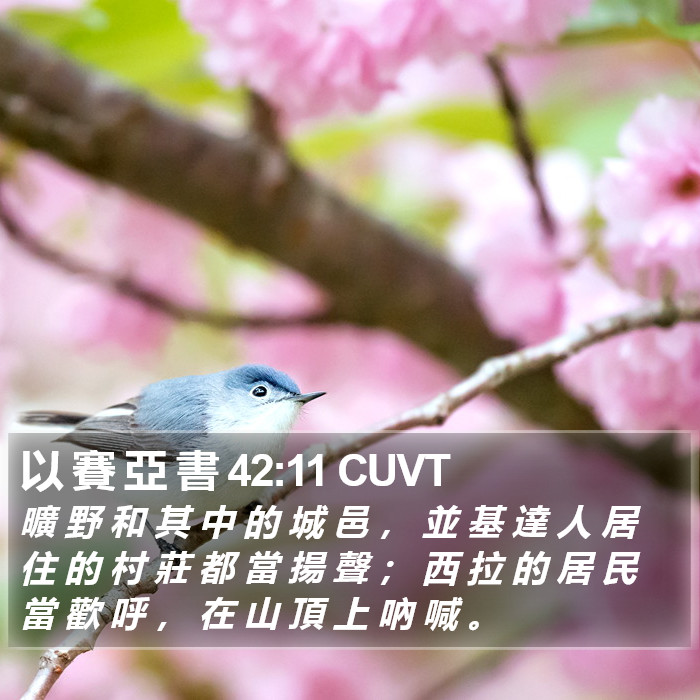 以 賽 亞 書 42:11 CUVT Bible Study